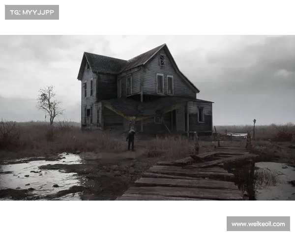 《Steam Workshop中魅魔作品的创作与文化现象探析》