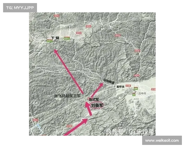 定军山之战五大战术解析及其对三国局势的深远影响 定军山之战五大战术解析及其对三国局势的深远影响