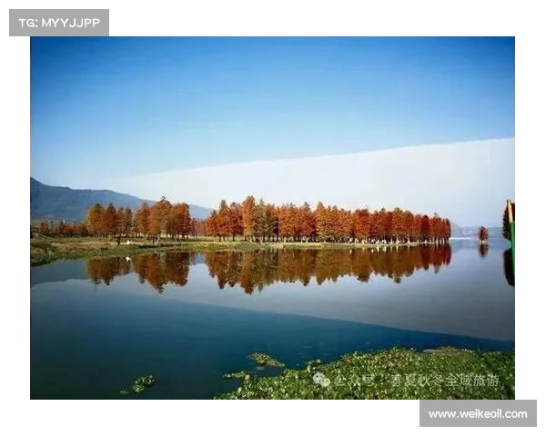 冬季湖畔探秘之旅静谧冰雪世界与诗意自然风光的完美融合
