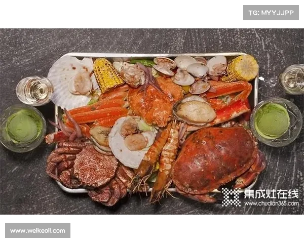 10款摩尔庄园新菜谱带你轻松制作美味佳肴享受烹饪乐趣 10款摩尔庄园新菜谱带你轻松制作美味佳肴享受烹饪乐趣