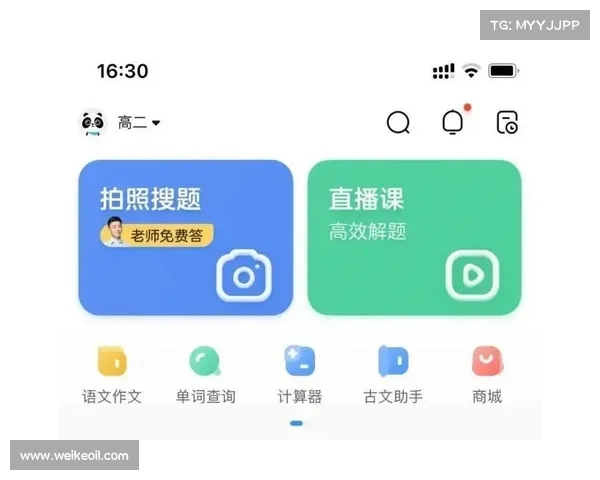 如何全面掌握冰洁师技能并提升实践能力的详细指南 如何全面掌握冰洁师技能并提升实践能力的详细指南