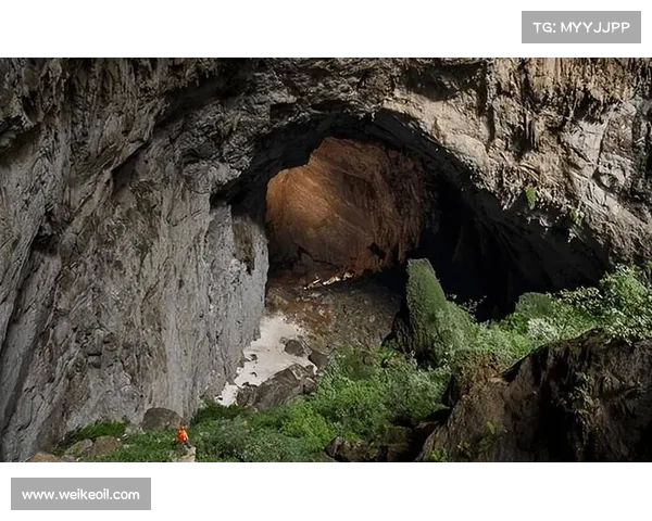 探索未知世界的十大震撼瞬间揭示人类无限潜能与自然奥秘