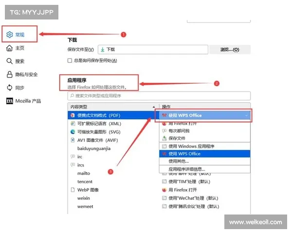 火狐浏览器功能全面升级使用技巧与隐藏功能详解指南 火狐浏览器功能全面升级使用技巧与隐藏功能详解指南