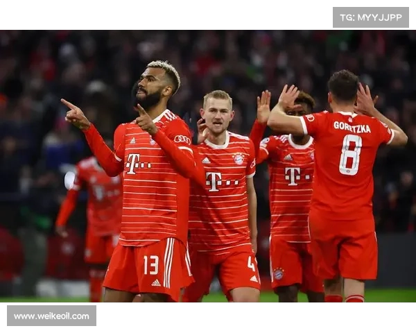 为何德甲缺乏足以挑战拜仁统治地位的强队 为何德甲缺乏足以挑战拜仁统治地位的强队