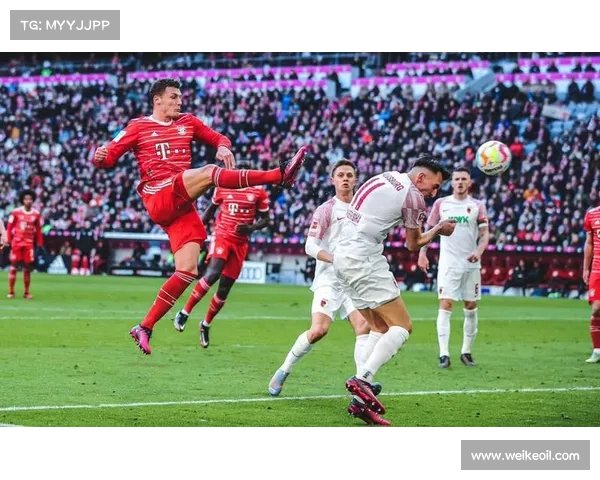 德甲顶尖球队排名：拜仁之外的五支挑战者