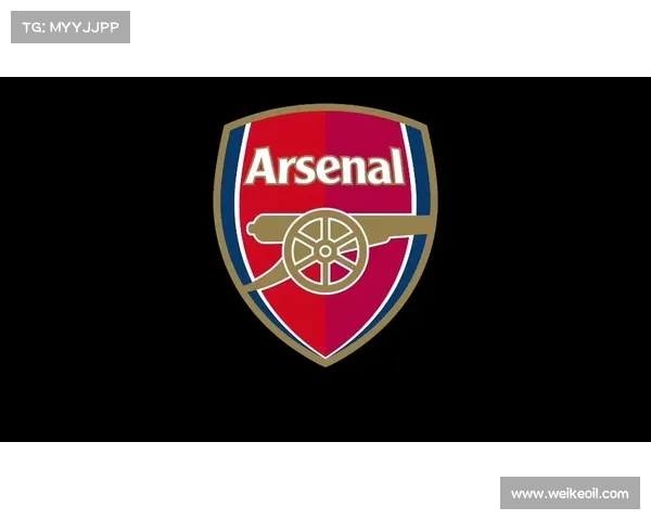 围绕阿森纳队徽五大必知冷知识的深入解读与全方位详尽全面解析