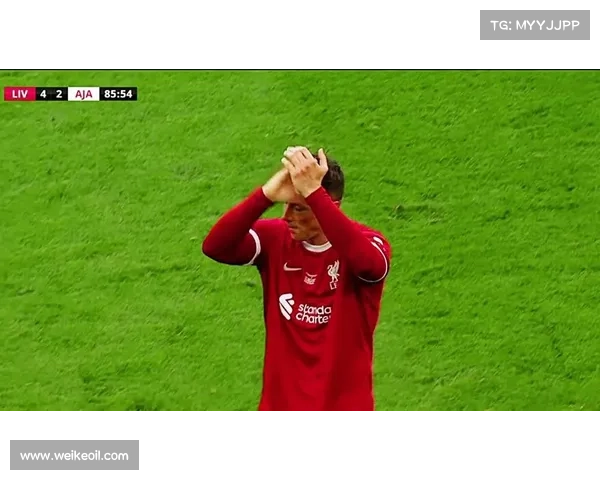 揭秘托雷斯绰号背后五大惊人真相让球迷意想不到