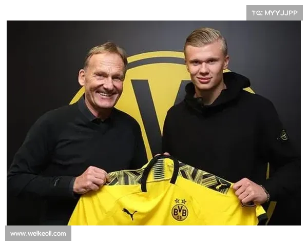 如何全面分析利物浦与对手比赛中的表现和战术优势