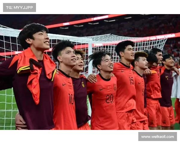 影响国足世界排名的十大关键因素及其背后深层次原因解析 影响国足世界排名的十大关键因素及其背后深层次原因解析