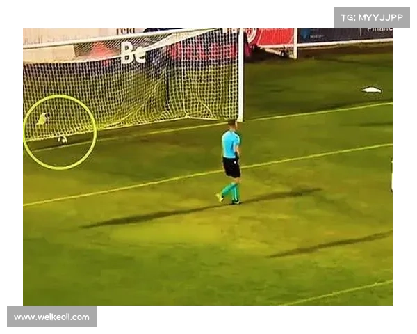 扑点球技巧揭秘:守门员判断方向的五大关键要素分析 扑点球技巧揭秘:守门员判断方向的五大关键要素分析